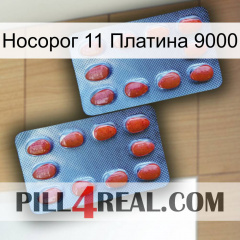 Носорог 11 Платина 9000 05